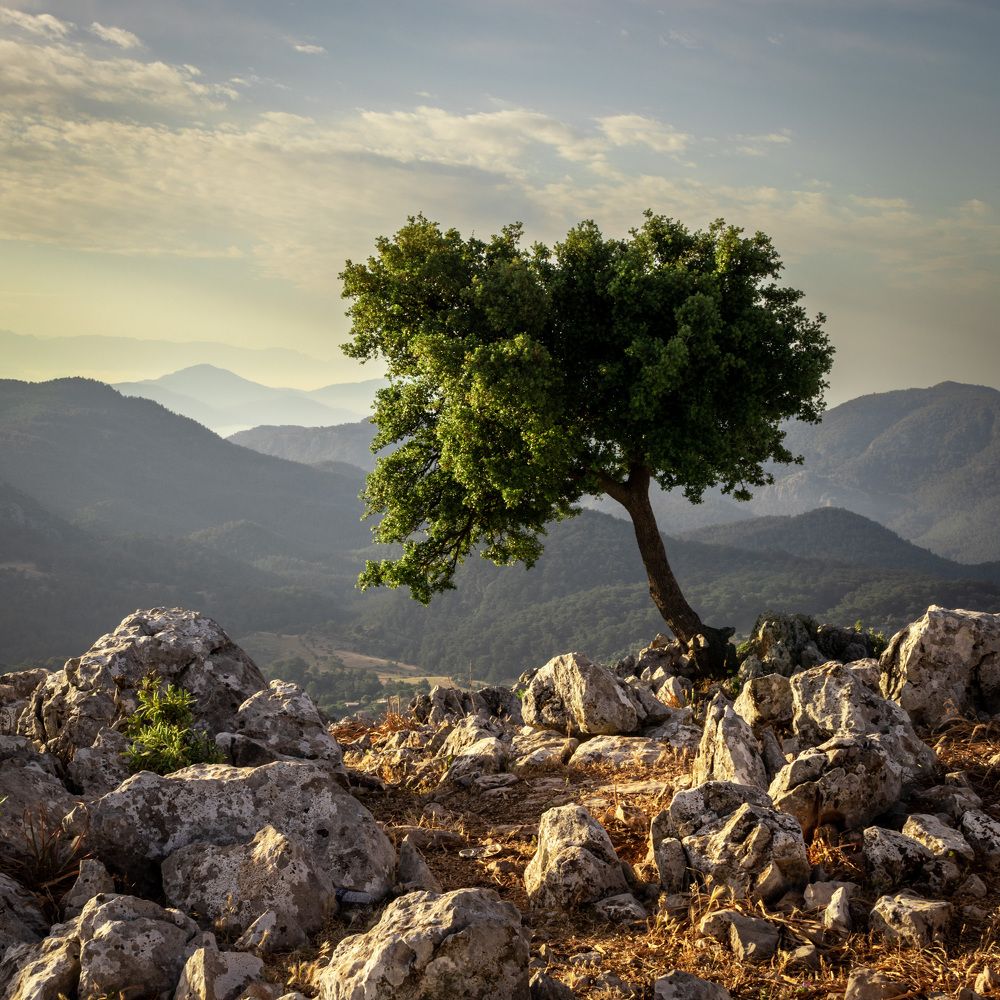 Photograph by Аркадий Старочкин