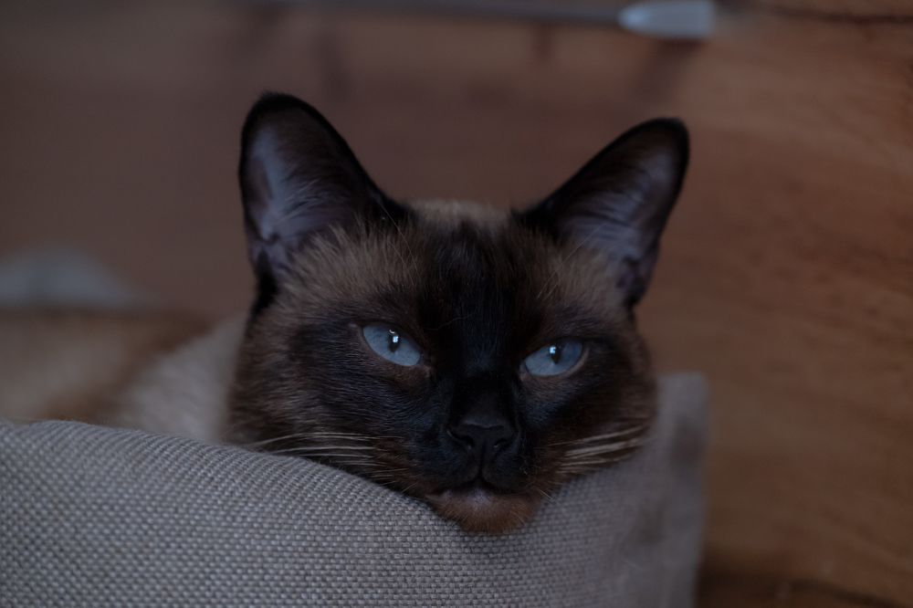 Photograph by Юлия Паршакова