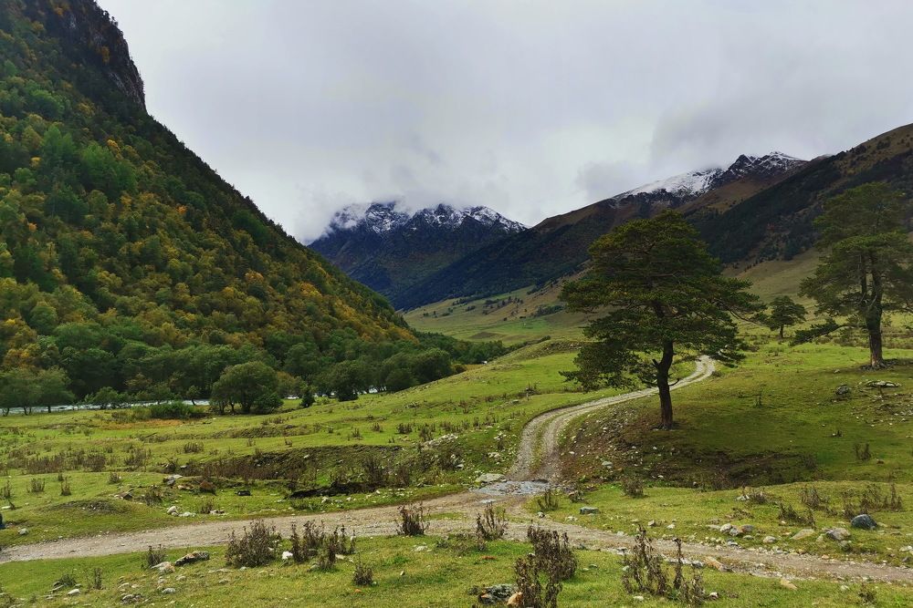 Photograph by Андрей Соколов