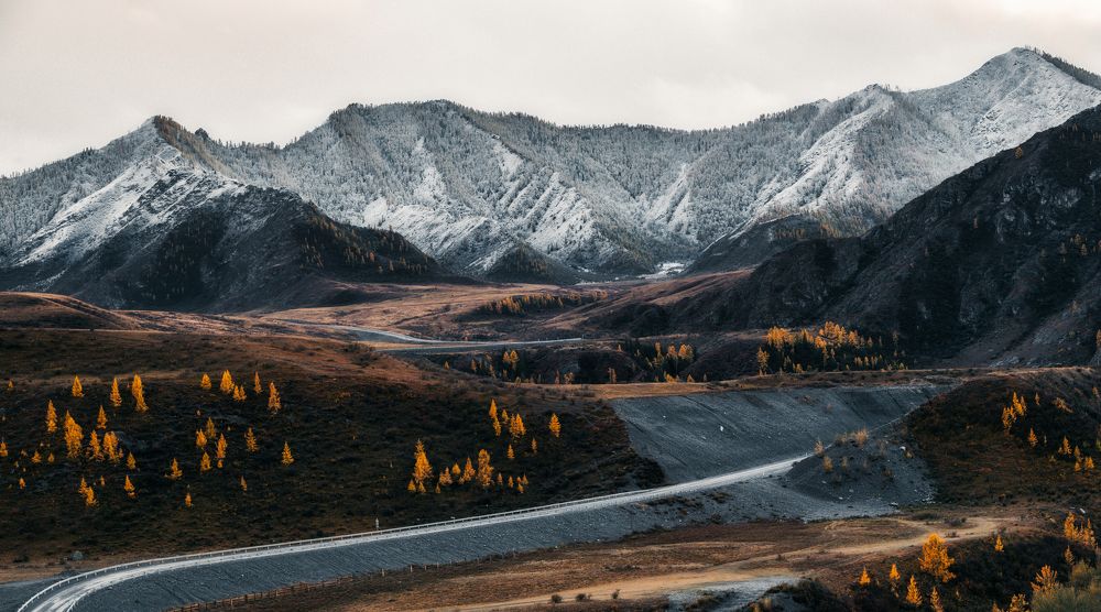 Photograph by Олег Гуляков