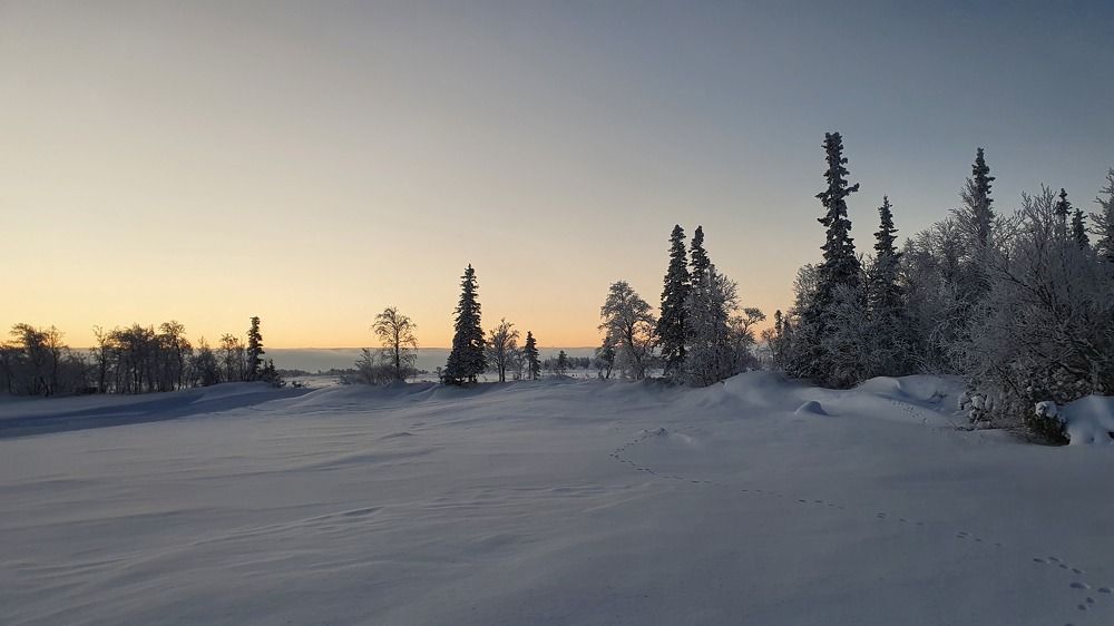 Photograph by Анастасия Езепчук