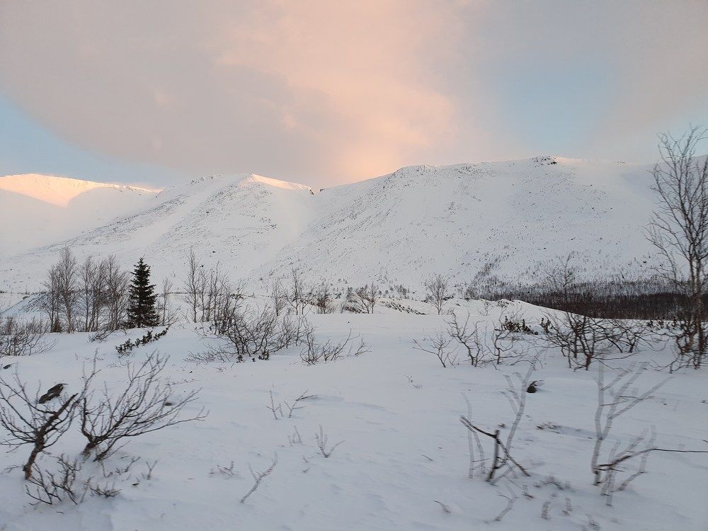 Photograph by Анастасия Езепчук