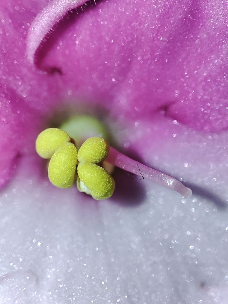 Photograph by ValentinaK