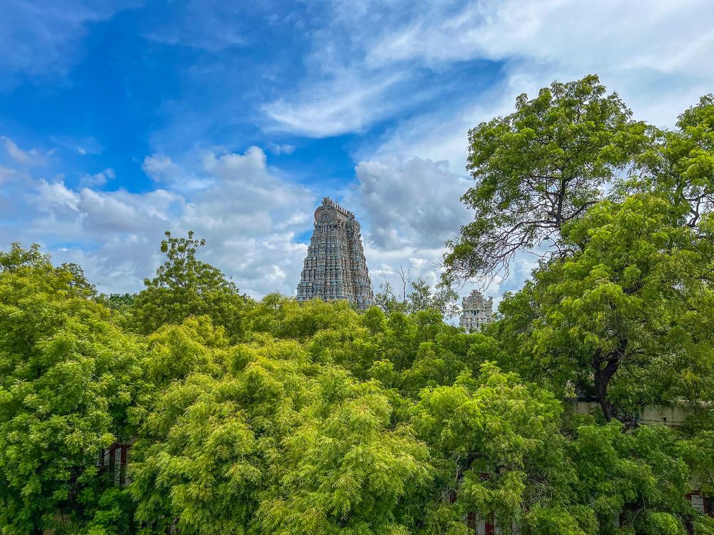 Photograph by HARIKRISHNA NARLA