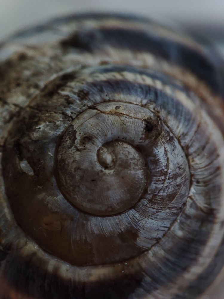 Photograph by ValentinaK