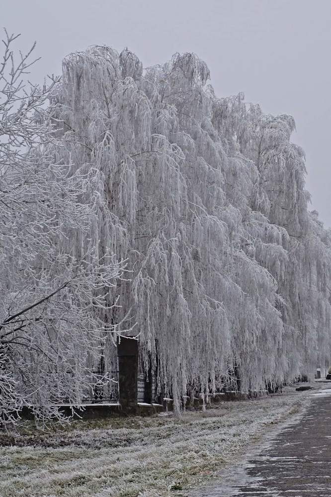 Зима природа пейзаж winter naturesa landscape