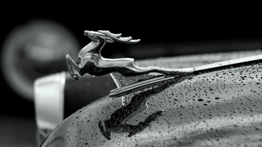 Photograph by Унку Юрий