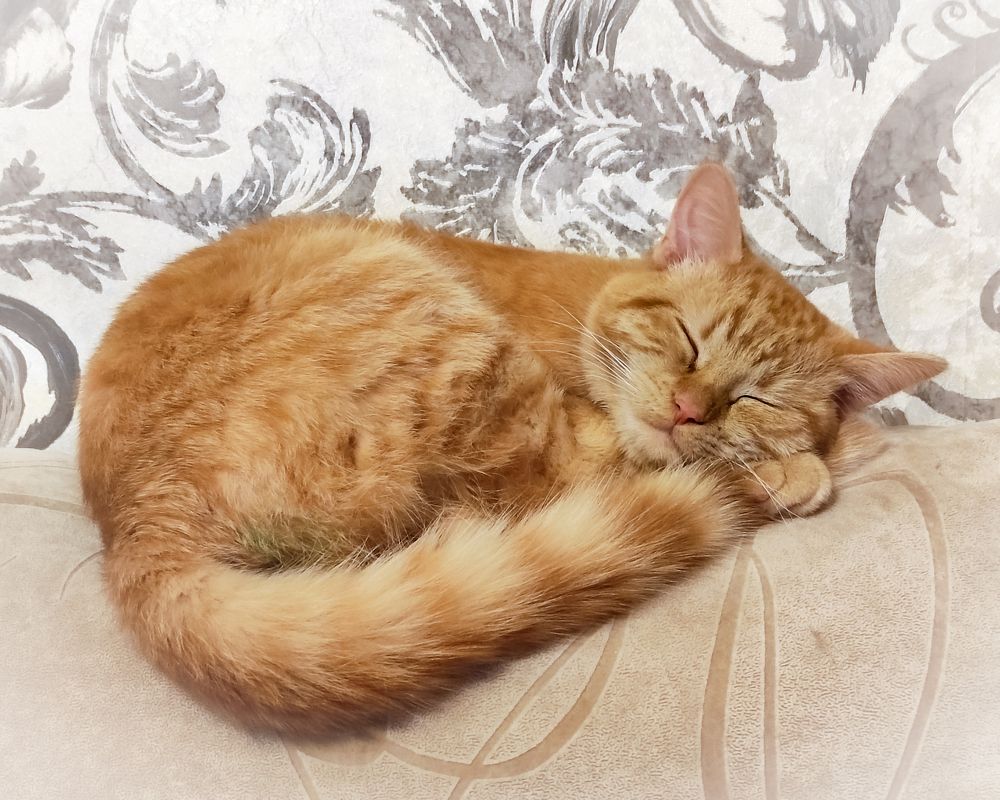 Photograph by Алеся Писнова