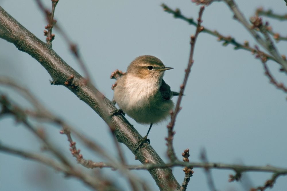Photograph by Rastin Haghighi