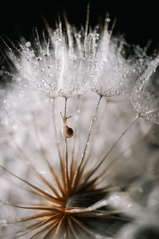 Photograph by Анна Бобкова