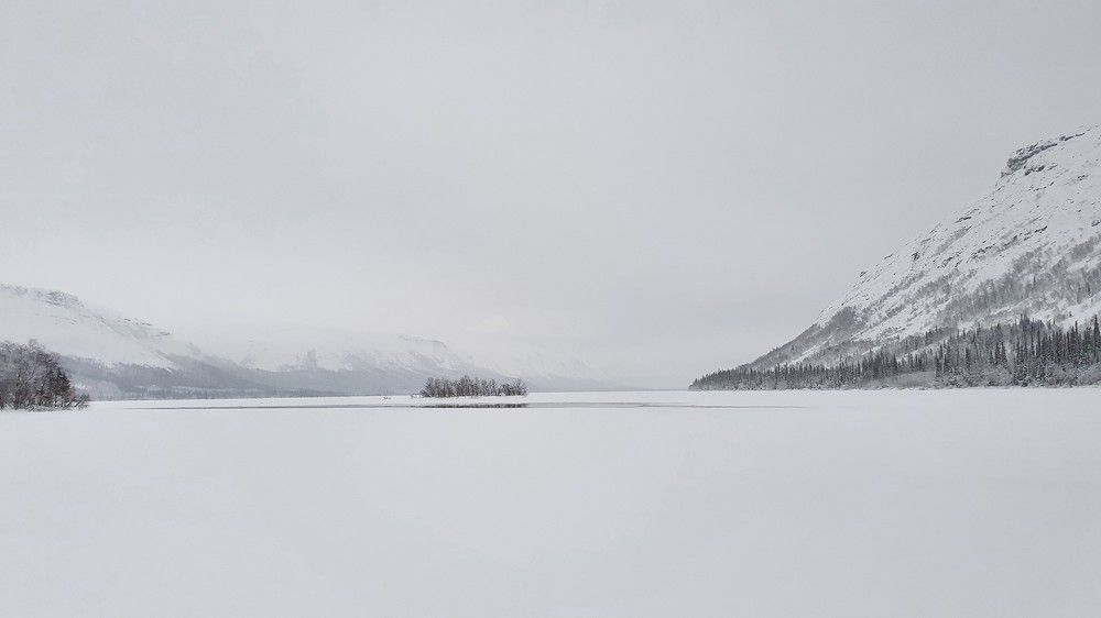 Photograph by Анастасия Езепчук