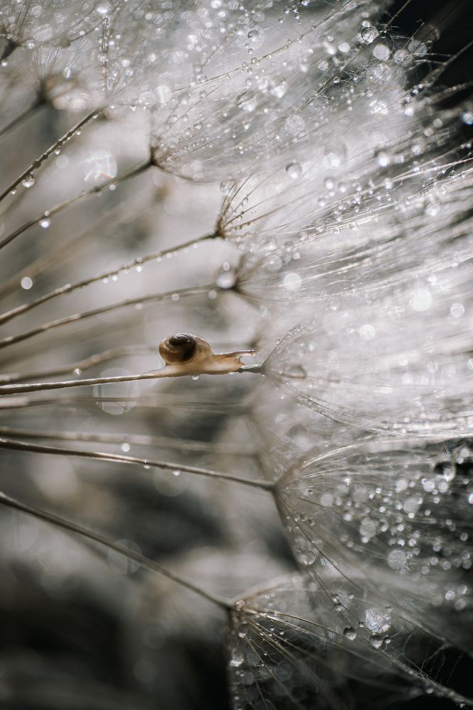 Photograph by Анна Бобкова