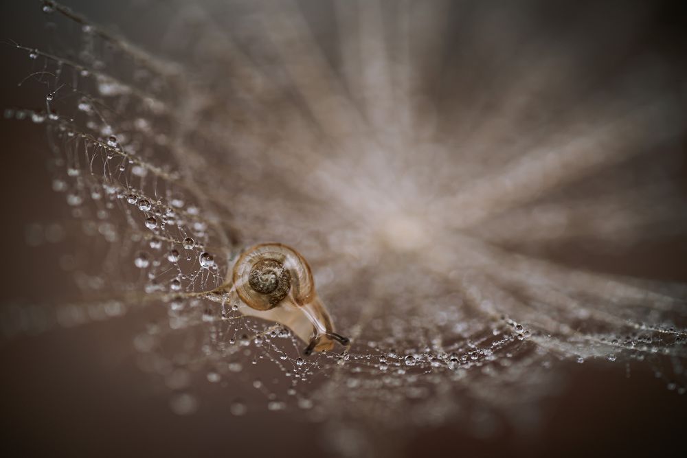 Photograph by Анна Бобкова