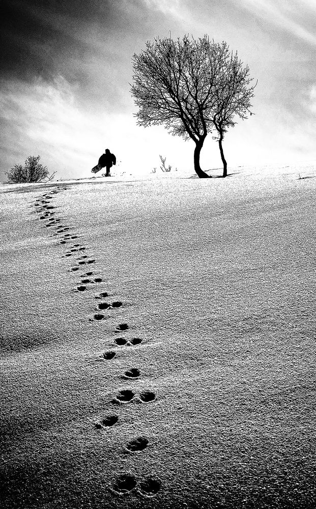 Photograph by neda heidari