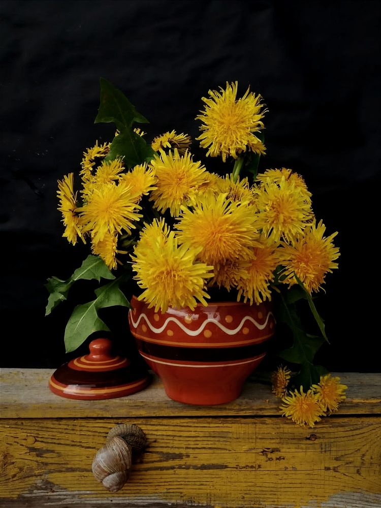 Photograph by Galina Novichkova