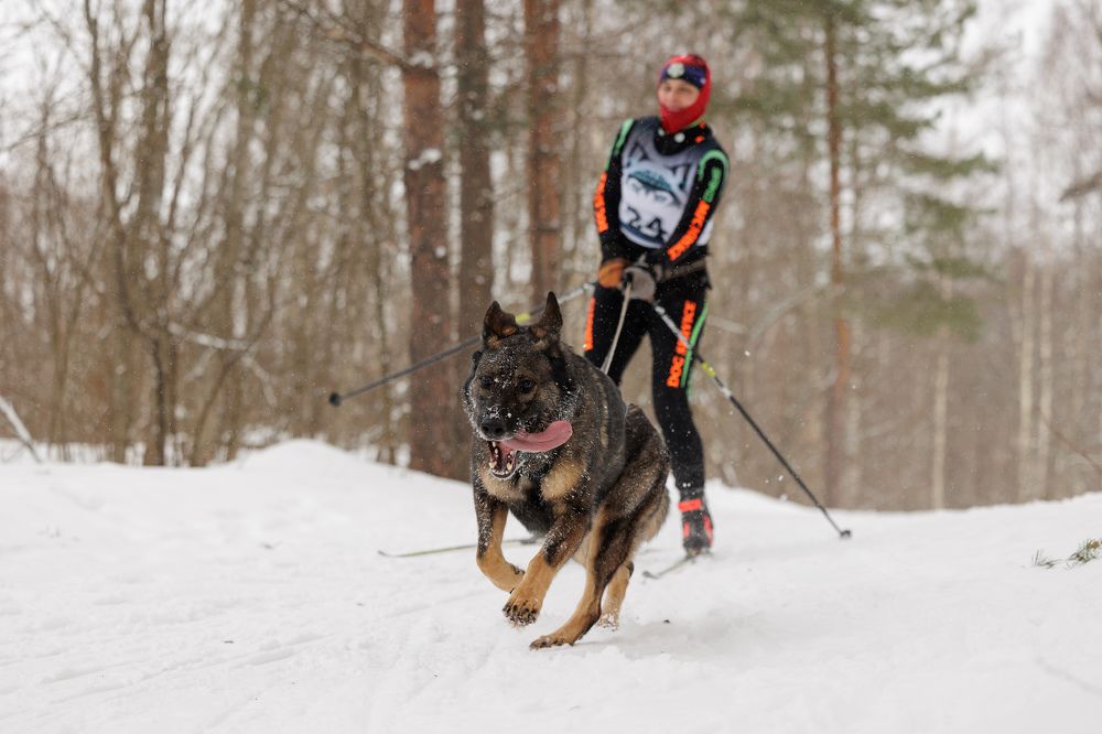 Photograph by Илья Юфа