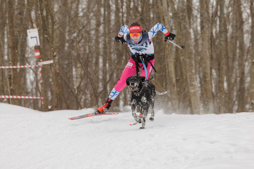 Photograph by Илья Юфа