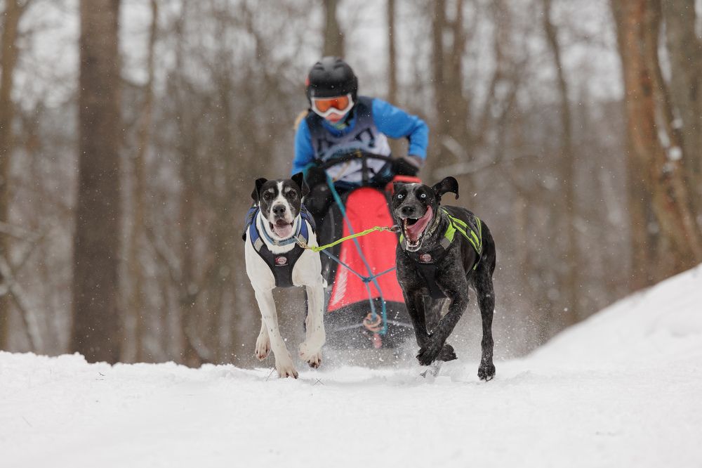 Photograph by Илья Юфа