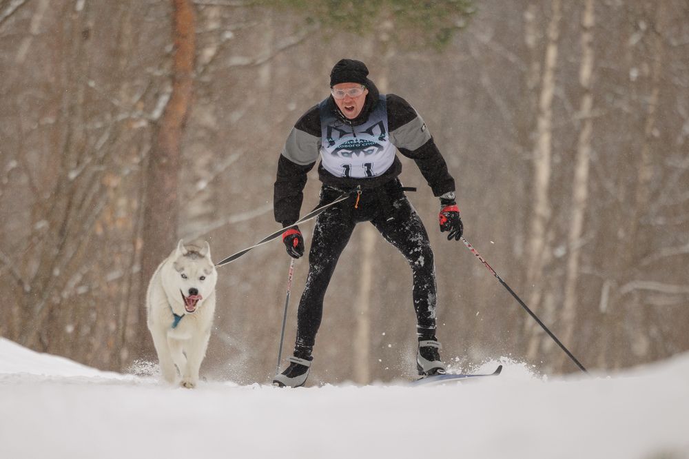 Photograph by Илья Юфа