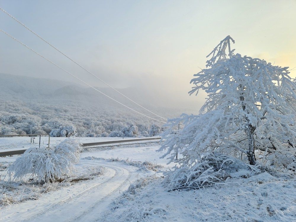 Photograph by Ekaterina Bogdasarova