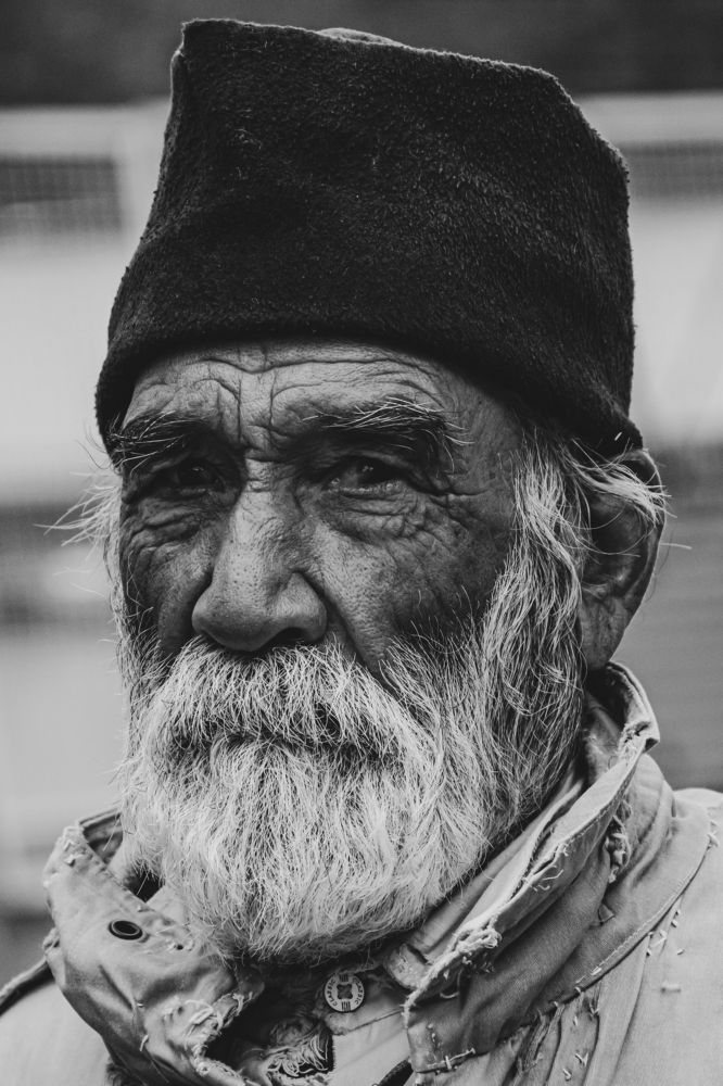 Photograph by امید امیدی