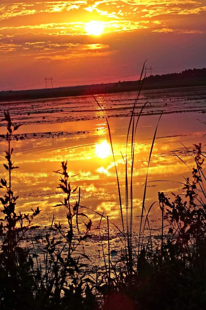 Закат  Рыбалка  речка горизонт небо облака