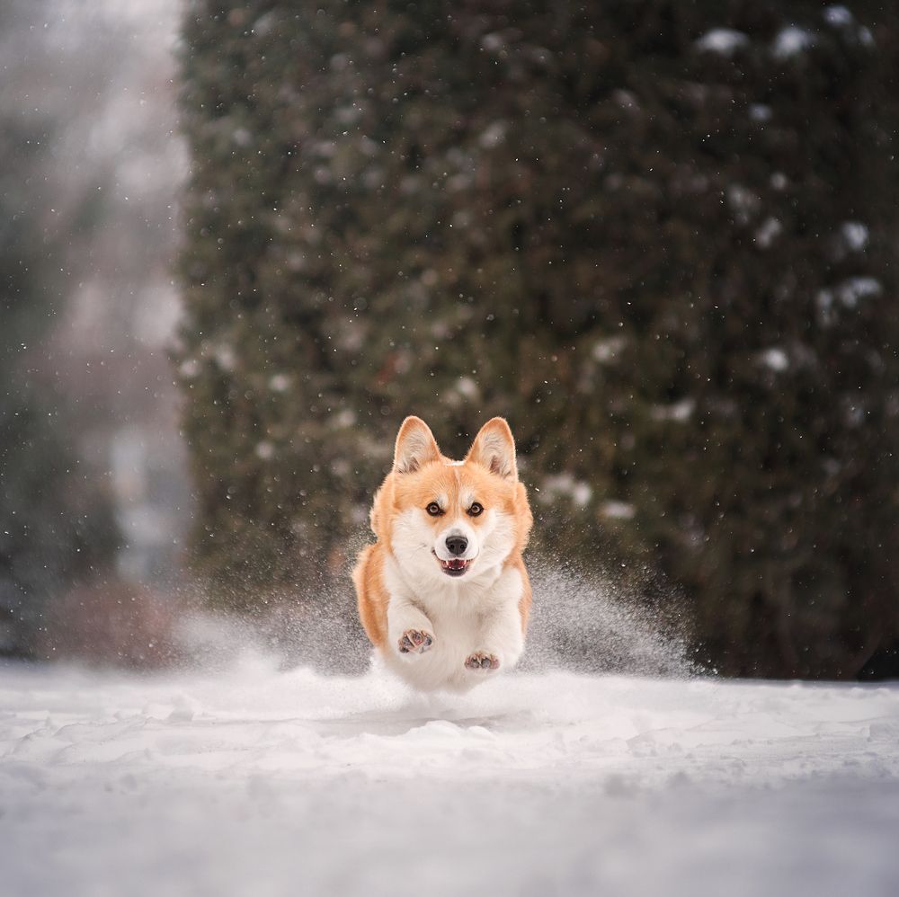 Photograph by Григорьева Юлия