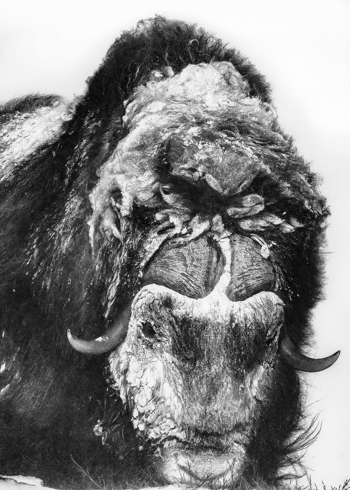 Photograph by Ernestas Balcikonis