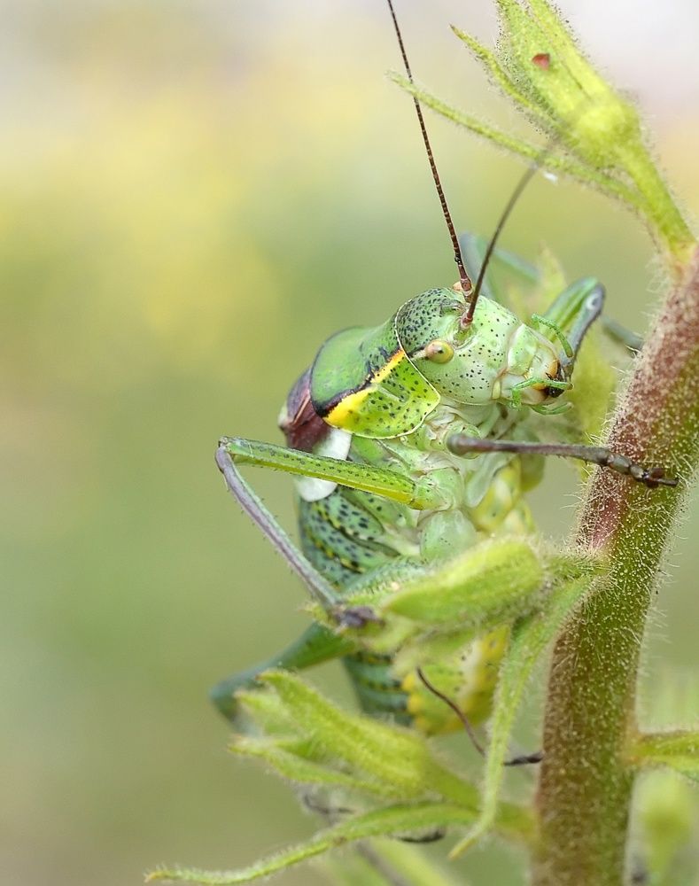 Photograph by Михаил Колтухов