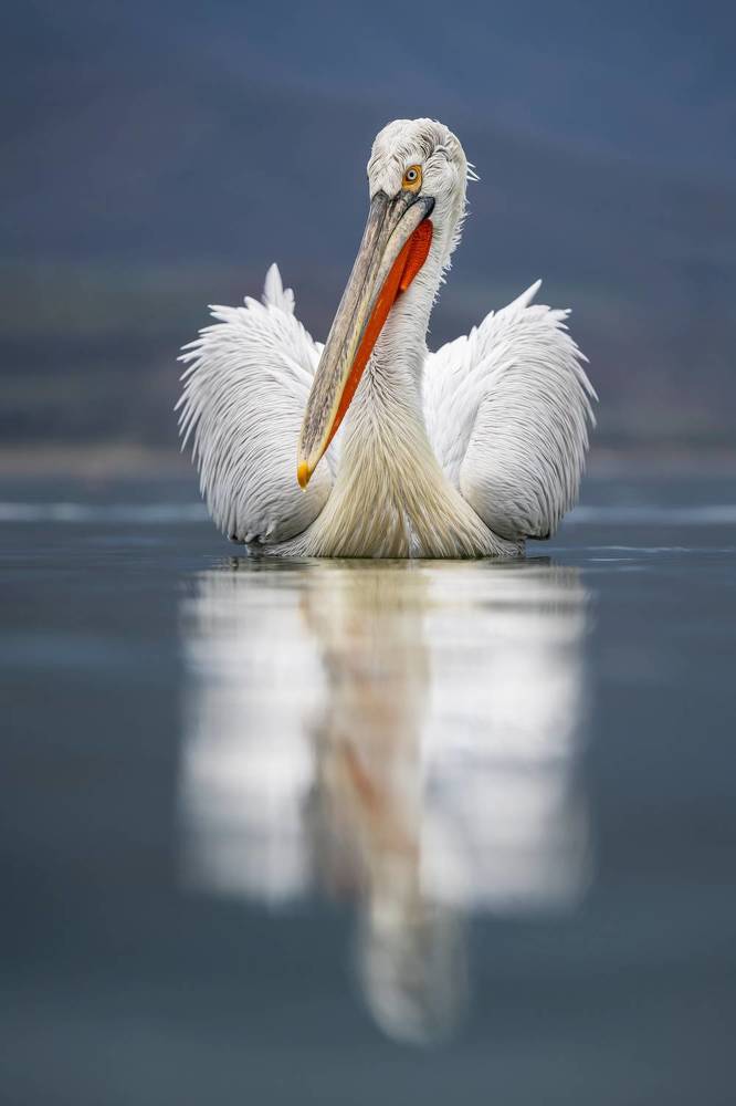 Photograph by Ernestas Balcikonis