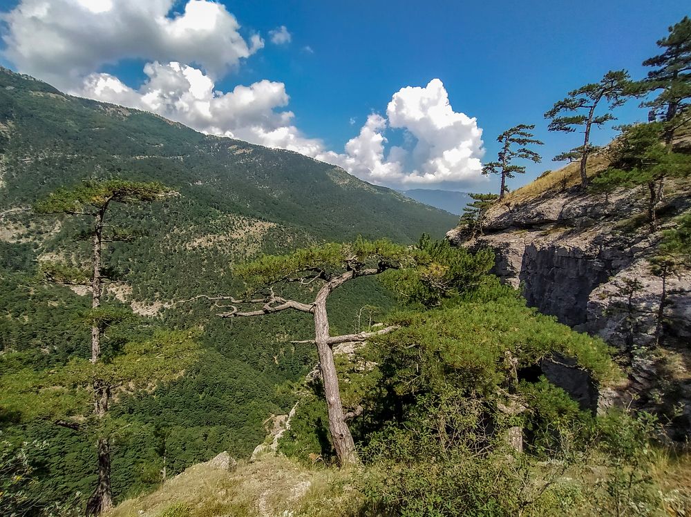 Photograph by Юлия Зигангирова