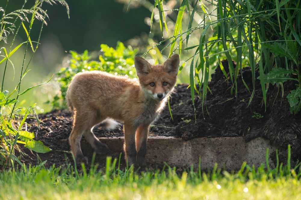 Photograph by Gatis Vilbrants