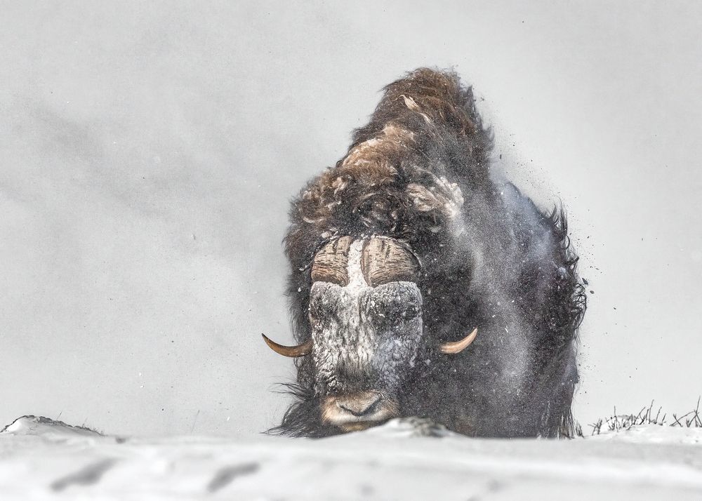 Photograph by Ernestas Balcikonis