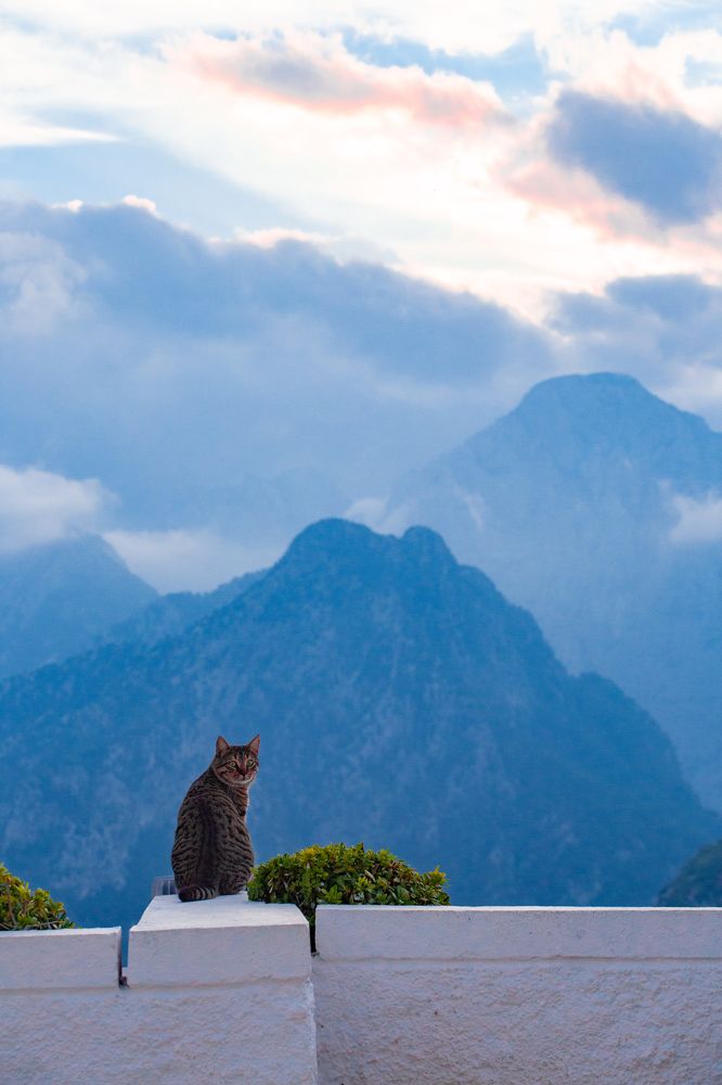 Photograph by Пётр Воронов