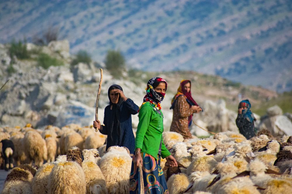 Photograph by امید امیدی