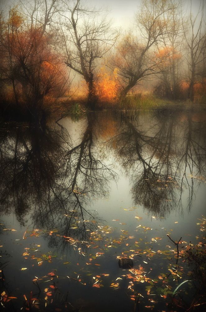 Photograph by  Владимир