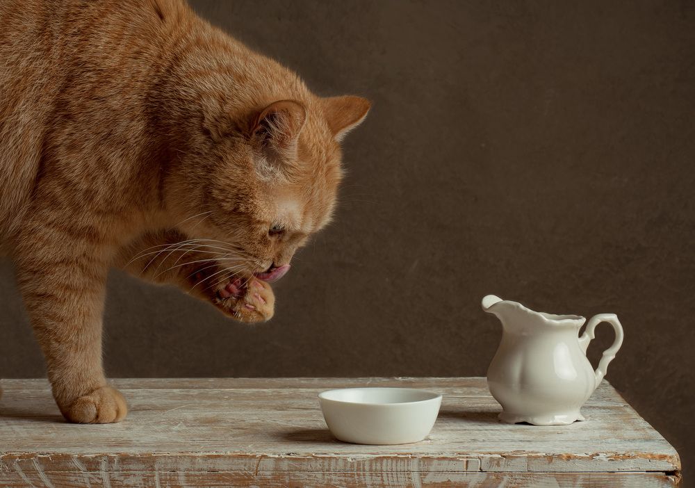 Photograph by Анжелика Костин