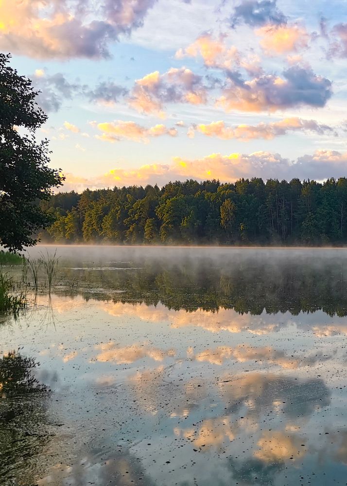 Фотография автора Татьяна Борисова