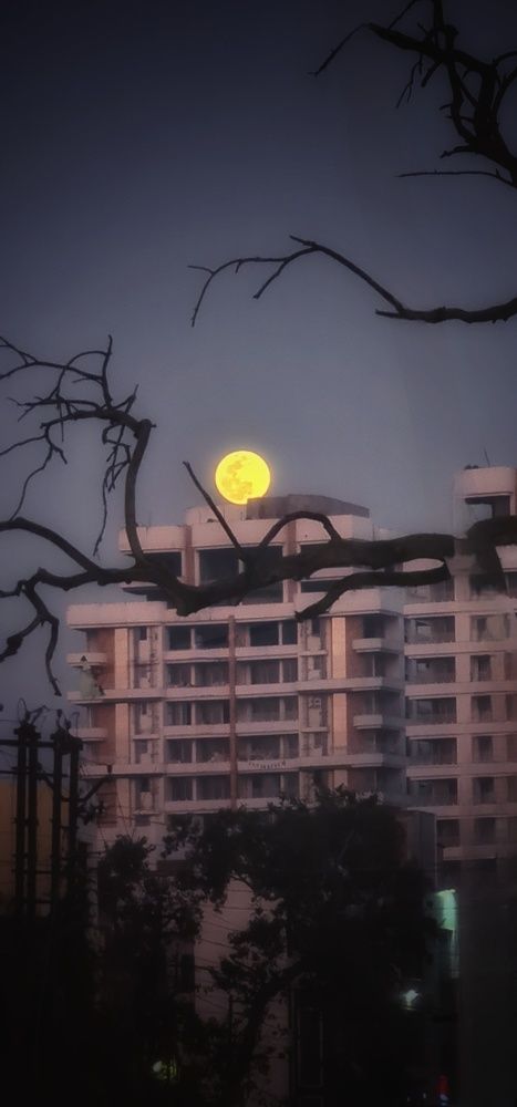 Photograph by Dr.Pradeep Agrawal