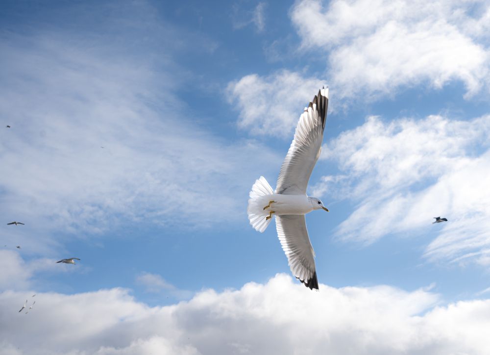 Photograph by Olga Zdančuka