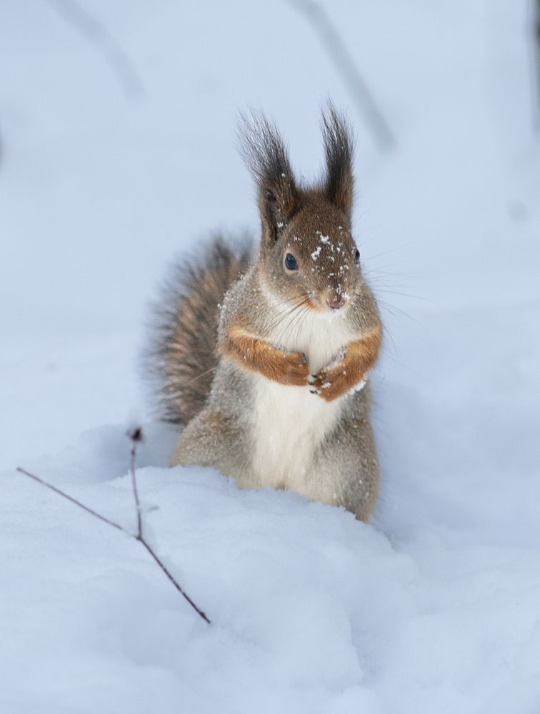 Photograph by Olga Zdančuka