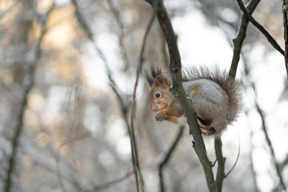 Photograph by Olga Zdančuka