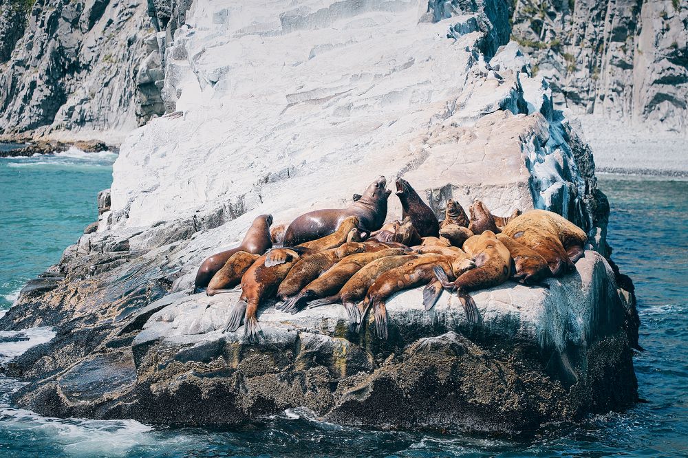 Фотография автора Evgeny Gorbunov