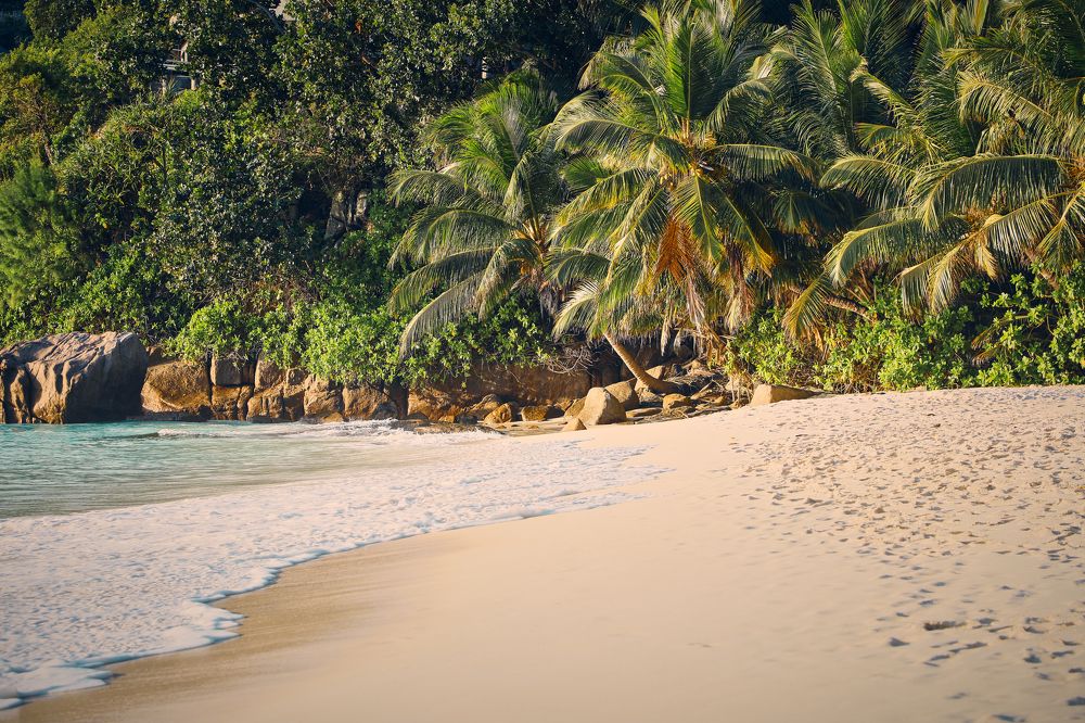 Фотография автора Evgeny Gorbunov