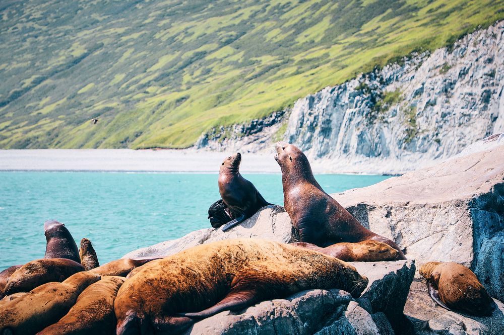 Фотография автора Evgeny Gorbunov