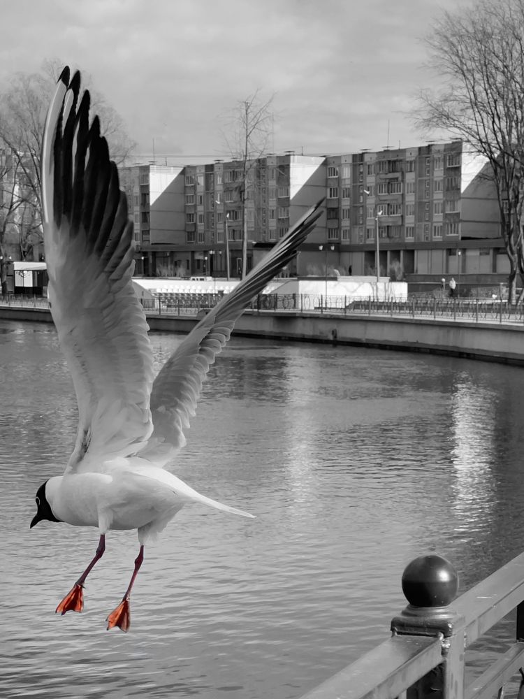 Photograph by Александра Кулеш