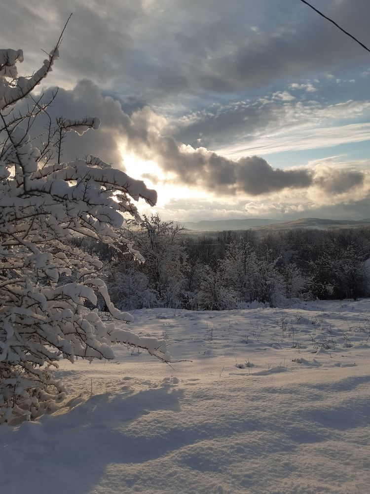 Photo #8882111