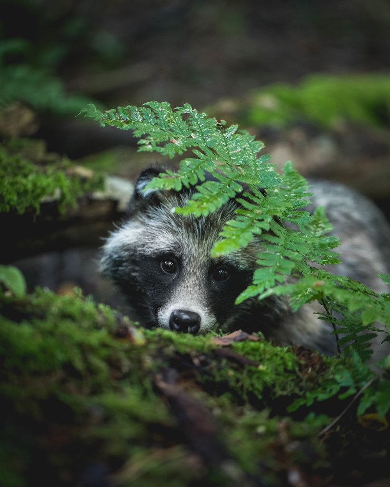 Photograph by Govinda Thompson