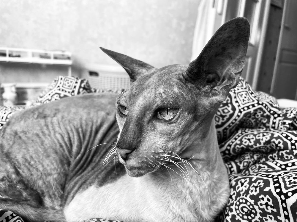 Photograph by Александра Кулеш