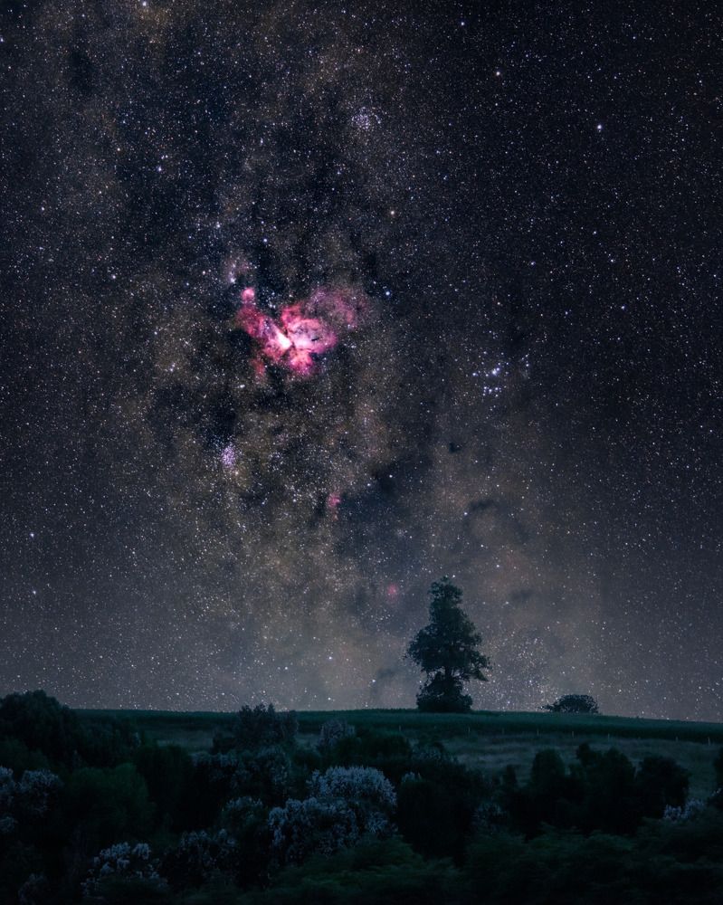 Photograph by Tomas Andonie